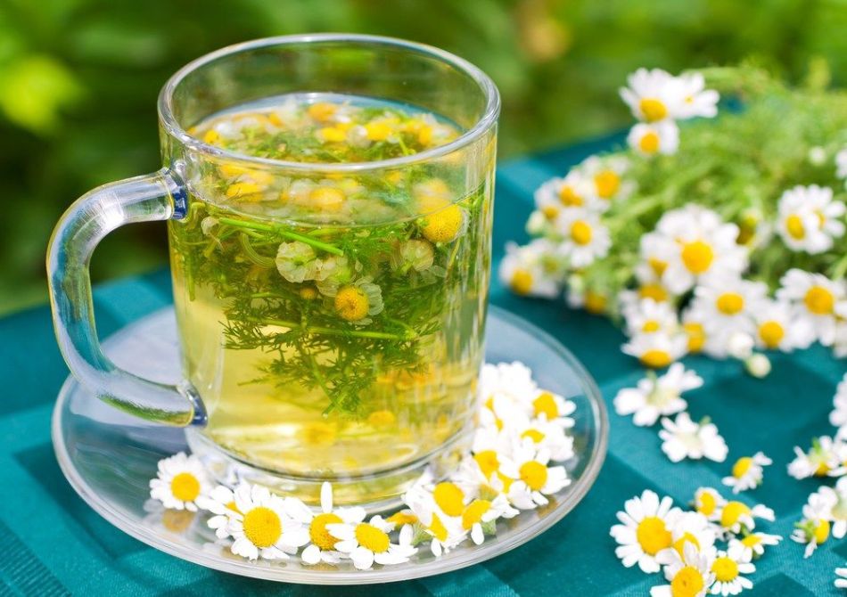 با چای بابونه سلامت خود و خانواده را تضمین کنید (2 نکته مهم) با چای بابونه سلامت خود و خانواده را تضمین کنید (2 نکته مهم)