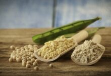 پروتئین سویا برای ورزشکاران مناسب تر است یا پروتئین آب پنیر؟ (2 نکته مهم)