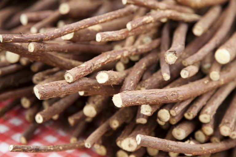 ۸ خاصیت دارویی درمانی ریشه شیرین بیان (2 نکته مهم)
