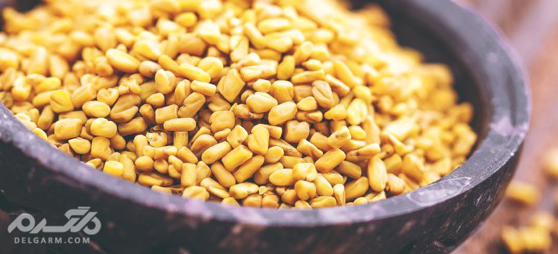 افزایش میل جنسی با گیاهان دارویی ، شنبلیله