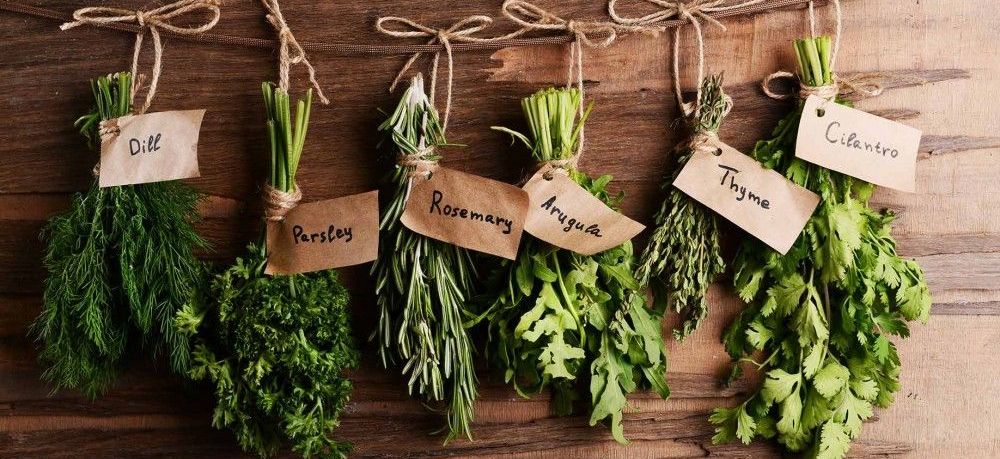 ۱۰ گیاه دارویی شگفت انگیز برای افزایش میل جنسی (2 نکته مهم) ۱۰ گیاه دارویی شگفت انگیز برای افزایش میل جنسی (2 نکته مهم)