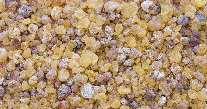 ۱۵ خاصیت باورنکردنی کندر برای درمان بیماری ها (2 نکته مهم) ۱۵ خاصیت باورنکردنی کندر برای درمان بیماری ها (2 نکته مهم)