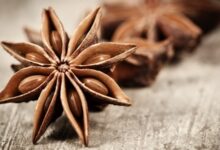 گیاه دارویی بادیان رومی (انیسون) معجزه طب سنتی است! (2 نکته مهم)
