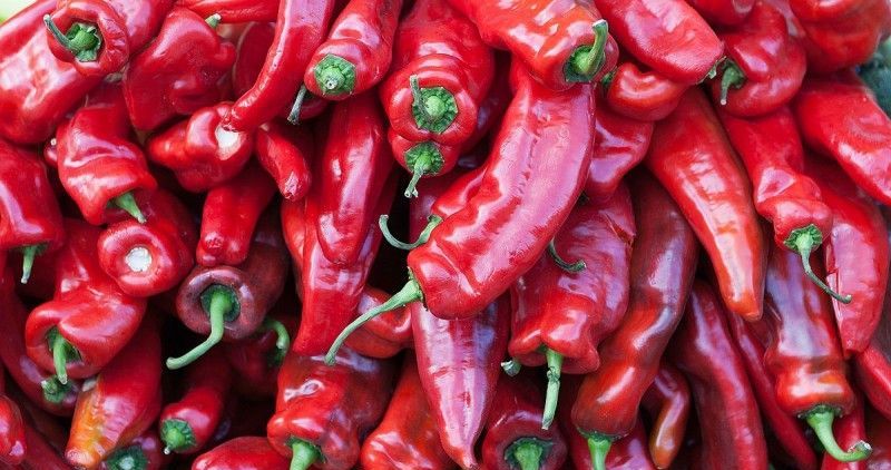 ۳۰ خاصیت باورنکردنی فلفل چیلی برای درمان بیماری ها (2 نکته مهم)