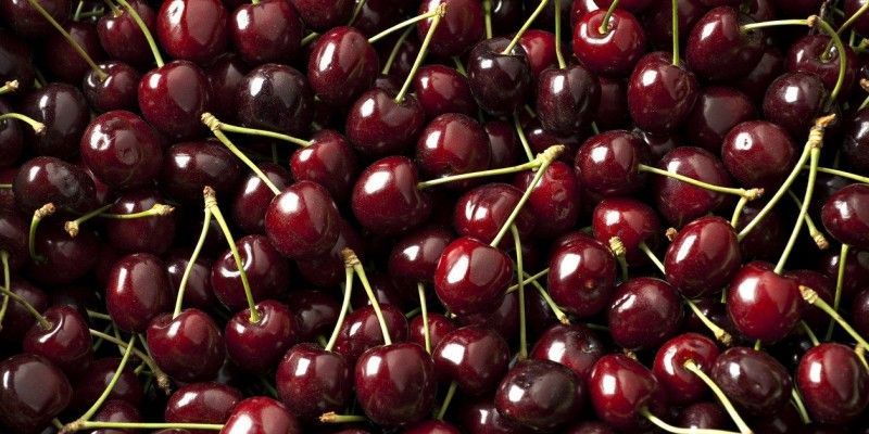 حقایقی باور نکردنی از خواص گیلاس سیاه برای سلامتی (2 نکته مهم)
