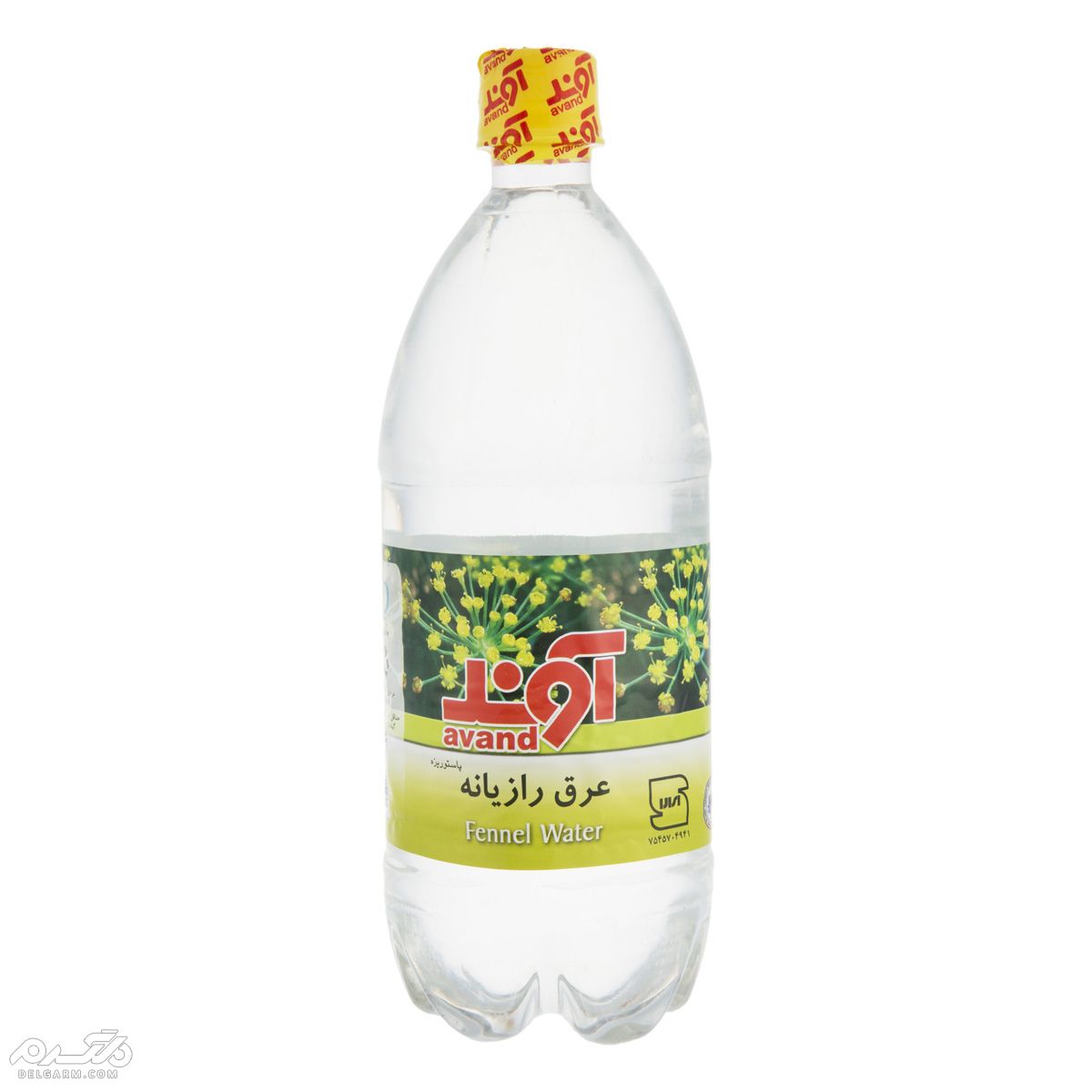 رازیانه و عرق رازیانه