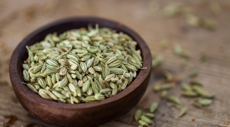 ۱۰ خاصیت دارویی و درمانی عرق رازیانه برای سلامتی (2 نکته مهم) ۱۰ خاصیت دارویی و درمانی عرق رازیانه برای سلامتی (2 نکته مهم)