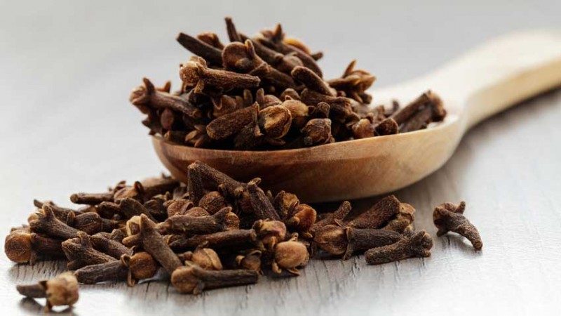 ۱۰ خاصیت دارویی و درمانی میخک (2 نکته مهم) ۱۰ خاصیت دارویی و درمانی میخک (2 نکته مهم)