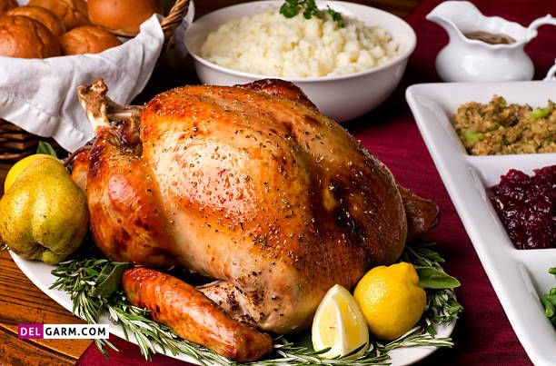 مصرف گوشت بوقلمون در بارداری