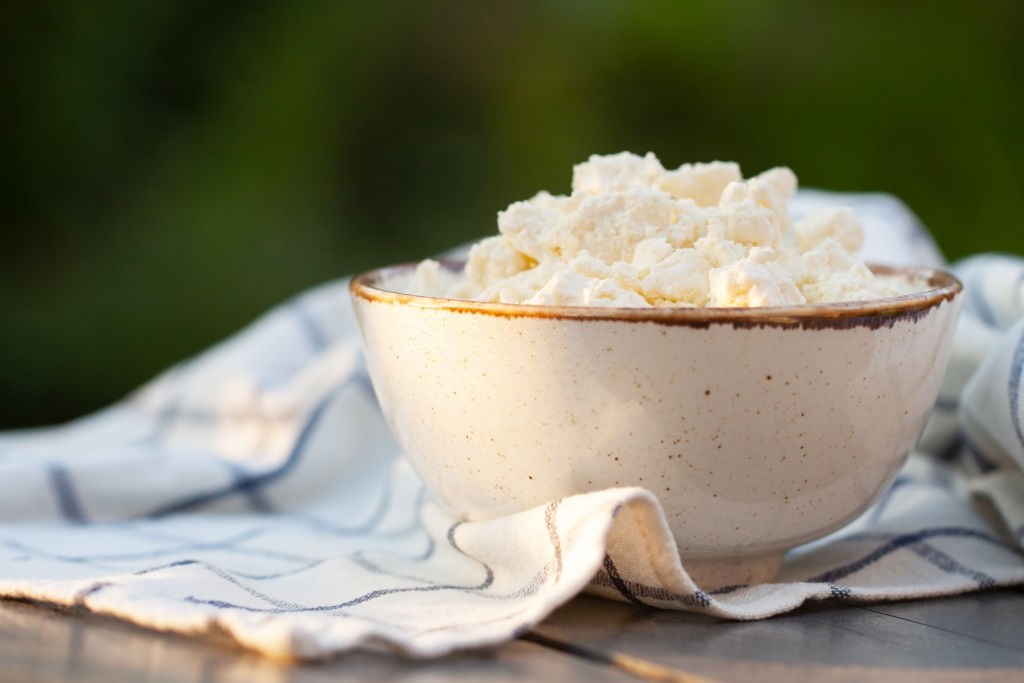 چگونه پنیر درست کنیم ؟