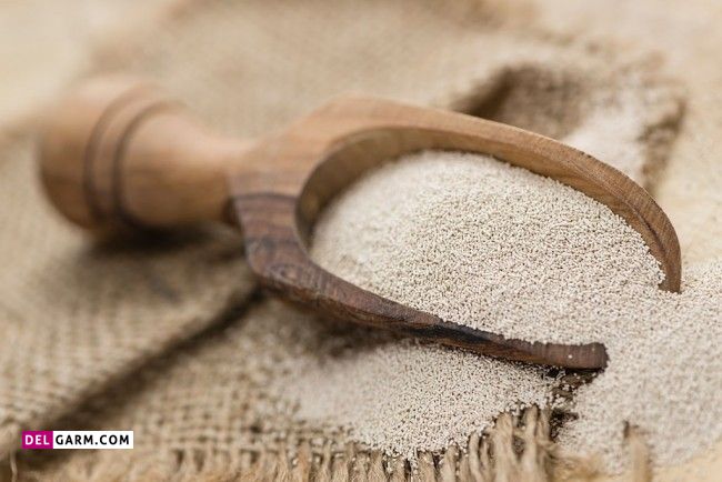 خمیر مایه چیست