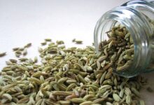 24 خاصیت شگفت انگیز رازیانه  (2 نکته مهم)