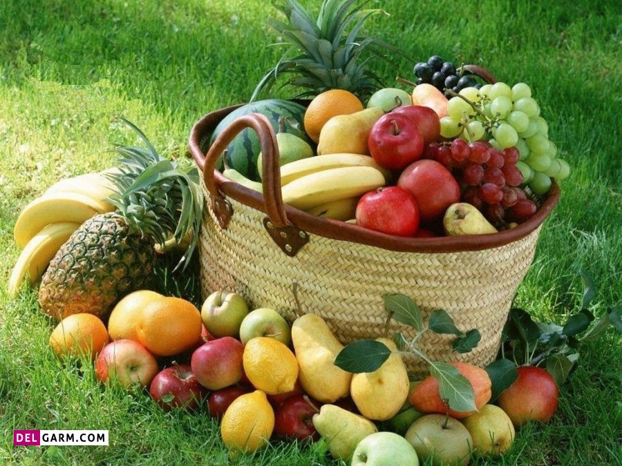 12. میوه جات