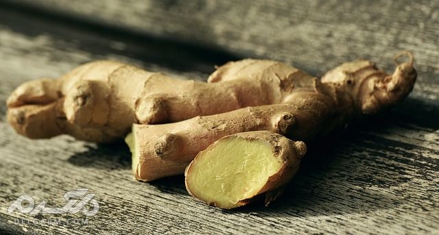 14 گیاه مفید برای درمان هیپوگلیسمی (قند خون پایین) (2 نکته مهم) زنجبیل