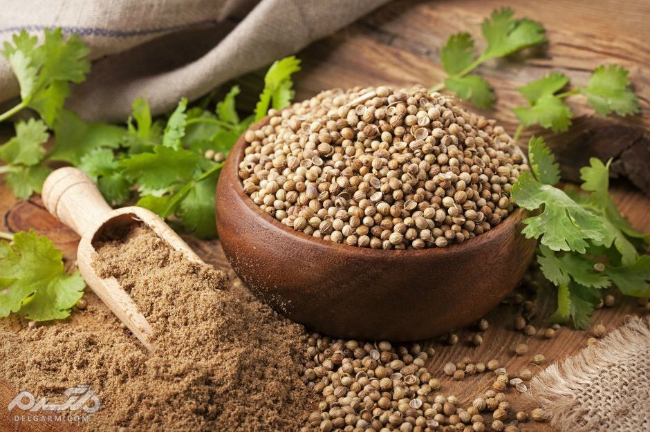 فواید بذر گشنیز در لاغری و تناسب اندام