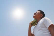 20 ماده‌ غذایی برای پیشگیری از کم آبی بدن در تابستان (2 نکته مهم)