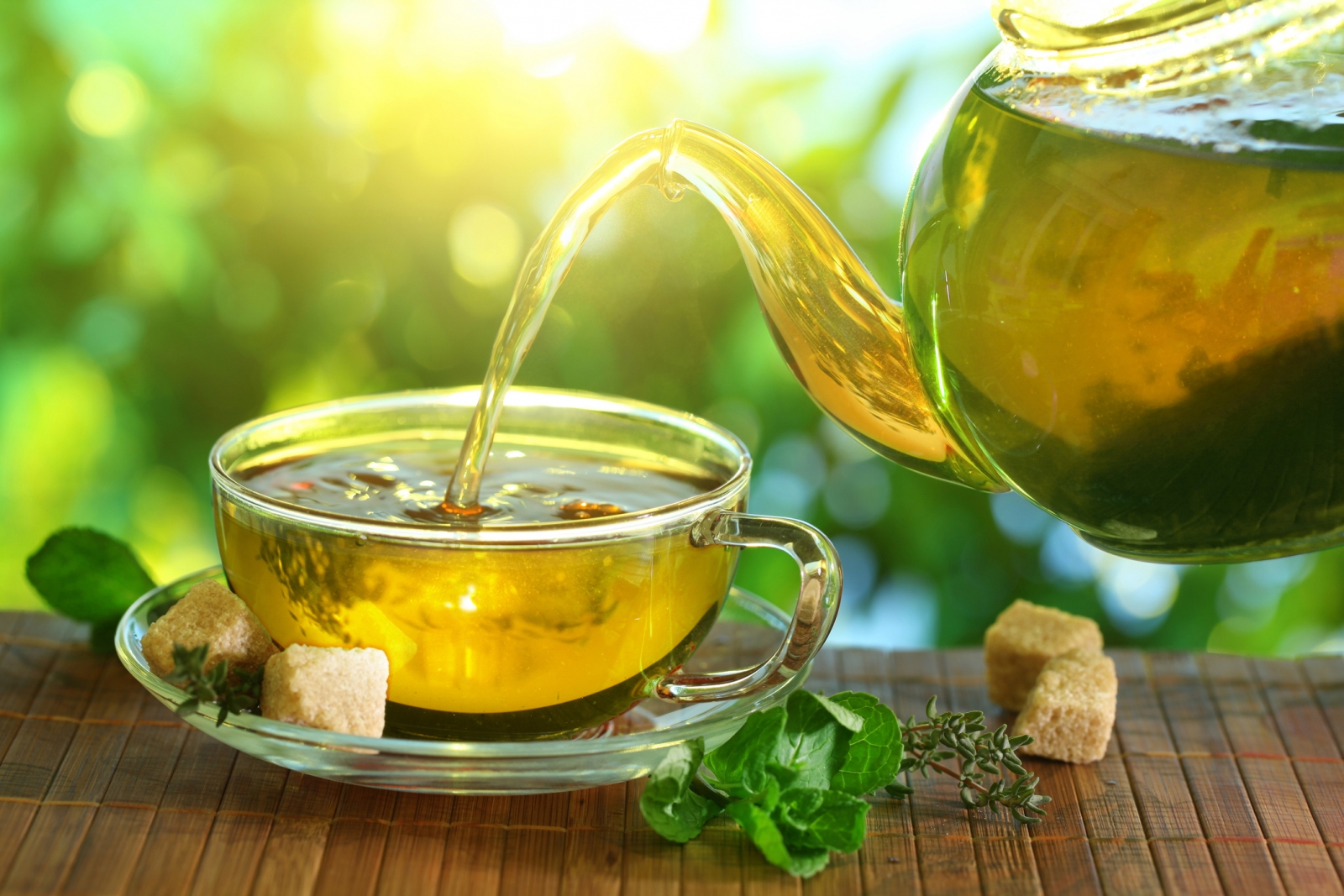 فواید دمنوش اکالیپتوس (2 نکته مهم) فواید دمنوش اکالیپتوس (2 نکته مهم)