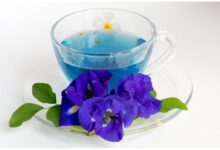 خواص دارویی و درمانی دمنوش گل پنیرک  (2 نکته مهم)