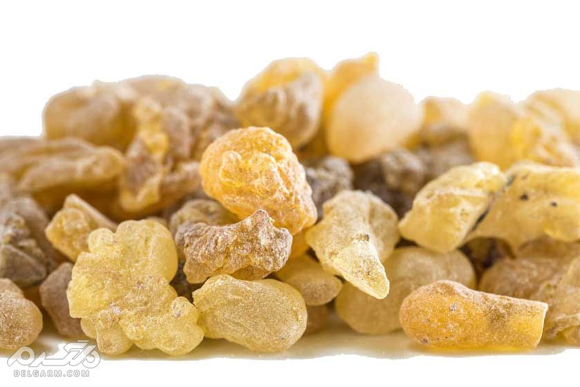 سقز یا بنه چیست؟