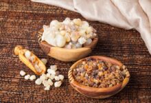 خواص شگفت انگیز سقز (کندر) و روغن سقز (تربانتین) (2 نکته مهم)