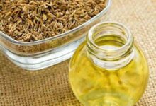 20 خاصیت شگفت انگیز گیاه دارویی زنیان برای سلامت بدن (2 نکته مهم)