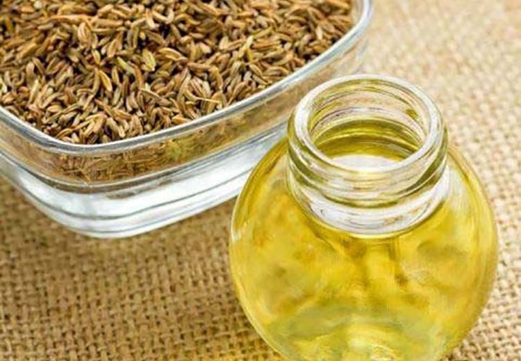 20 خاصیت شگفت انگیز گیاه دارویی زنیان برای سلامت بدن (2 نکته مهم) 20 خاصیت شگفت انگیز گیاه دارویی زنیان برای سلامت بدن (2 نکته مهم)