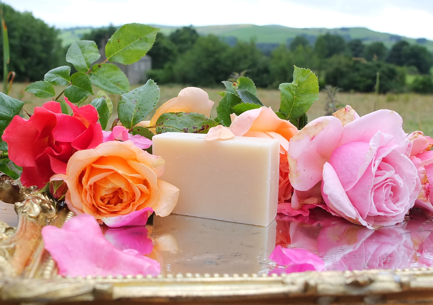 فواید معجزه آسا صابون گل رز برای پوست و زیبایی (2 نکته مهم)