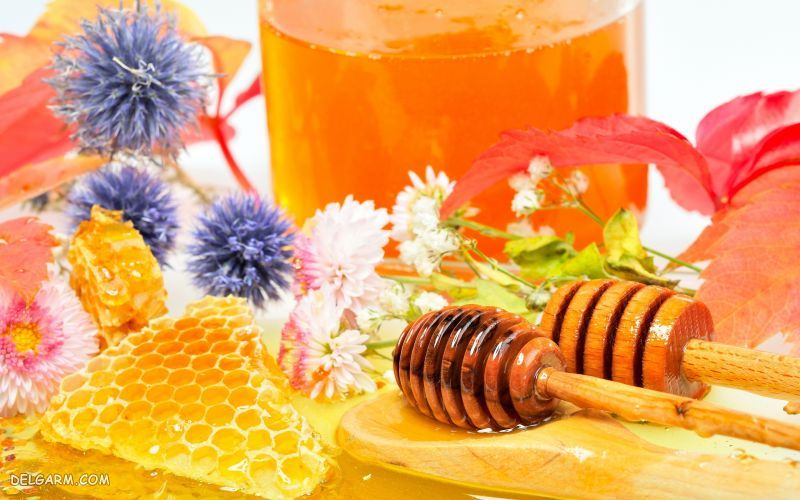 عسل Honey