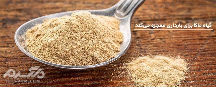 ماکا