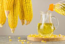 آیا روغن ذرت می‌تواند خطر ابتلا به سرطان را کاهش دهد؟ (2 نکته مهم)