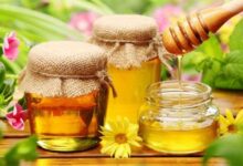 حقایقی از خواص عسل و چگونگی درمان بیماری‌ها (2 نکته مهم)