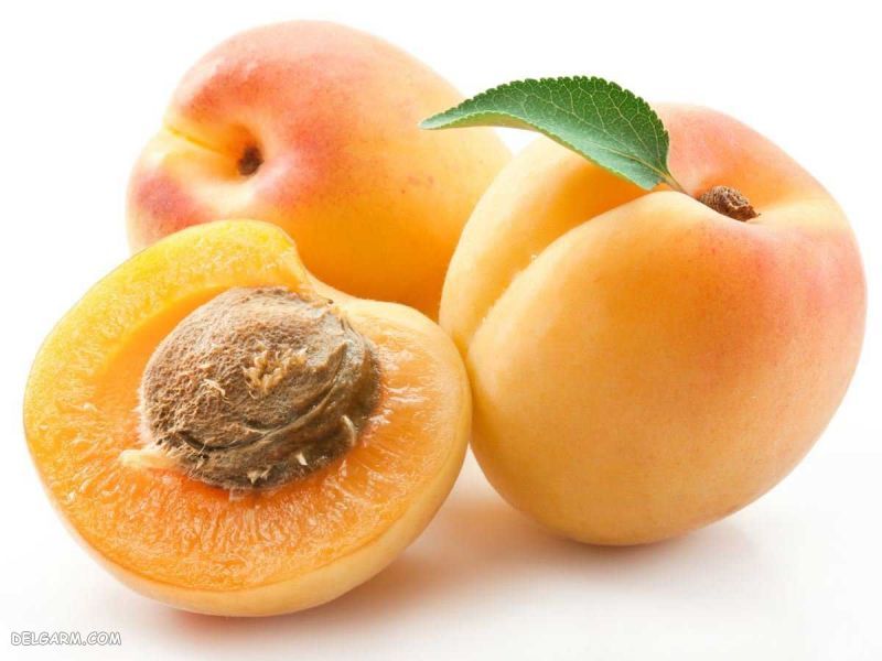 زردآلو دارای ویتامین A