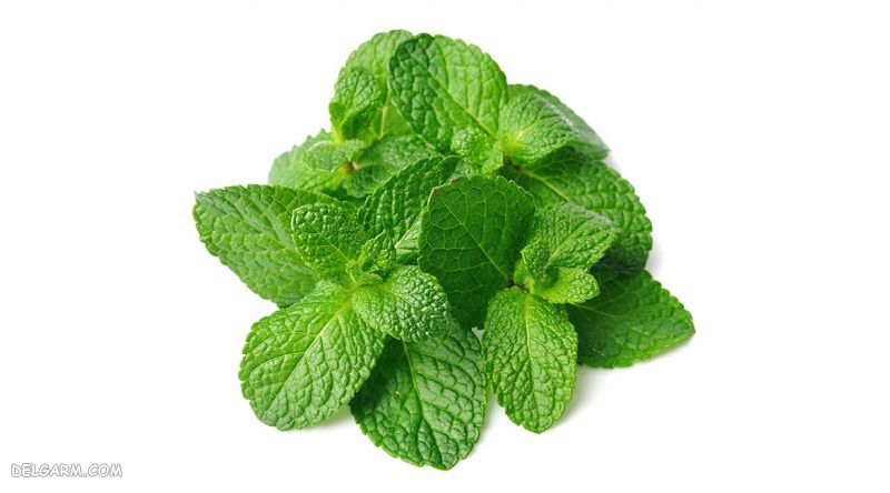 خوراکی هایی باعث سوزش معده می شود