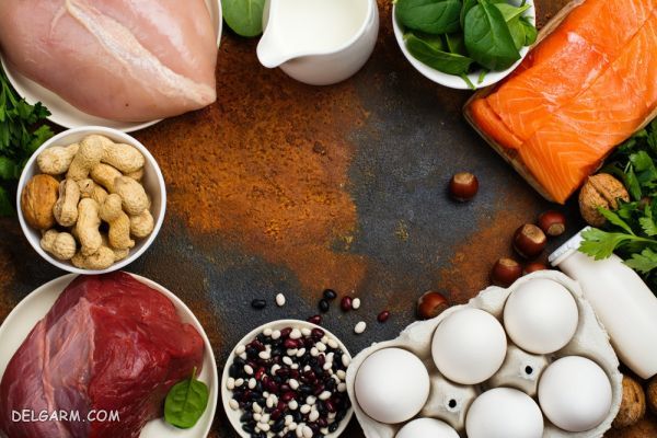 معرفی و شناخت ۲۰ ماده غذایی دارای کلاژن و الاستین بالا (2 نکته مهم) مواد غذایی دارای کلاژن و الاستین