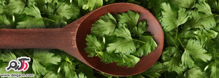 دمنوش جعفری در درمان عفونت مجاری ادراری و دیگر بیماری‌ها