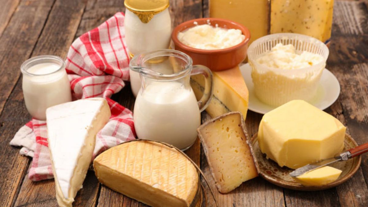 تیرامین چیست + لیست مواد غذایی حاوی تیرامین (2 نکته مهم) تیرامین چیست + لیست مواد غذایی حاوی تیرامین (2 نکته مهم)