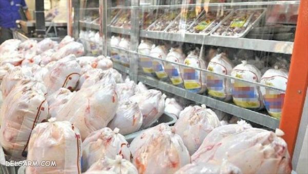 غاهای منجمد حاوی مونوسدیم گلوتامات