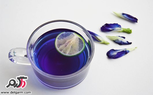 خواص دارویی و درمانی دمنوش بنفشه در طب سنتی (2 نکته مهم)