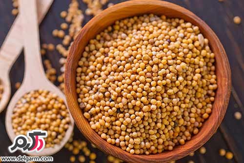 گلچینی از خواص باور نکردنی گیاه خردل