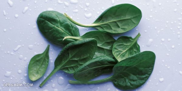 اسفناج | تقویت ریه | spinach