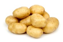 سیب زمینی و دیابت : فواید و مضرات مصرف سیب زمینی برای دیابتی ها (2 نکته مهم)