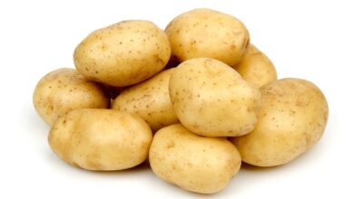 سیب زمینی و دیابت : فواید و مضرات مصرف سیب زمینی برای دیابتی ها (2 نکته مهم)
