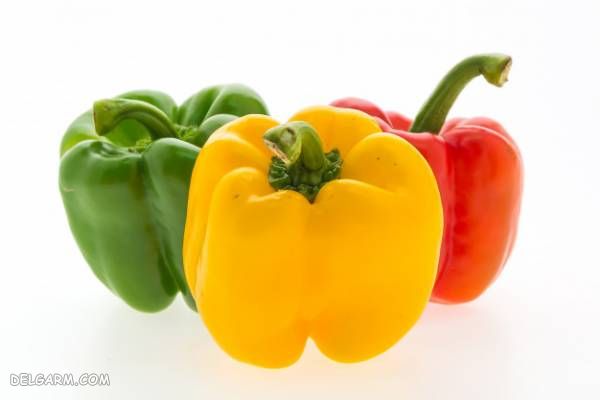 مواد غذایی مفید برای جلوگیری از بواسیر