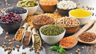 مواد غذایی مفید برای جلوگیری از بواسیر (2 نکته مهم)