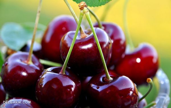 آیا گیلاس می‌تواند حساسیت‌زا باشد؟
