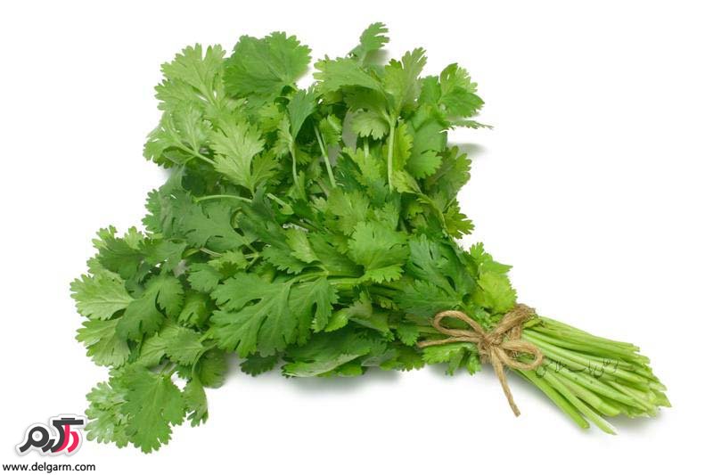 خواص عرق گشنیز ضد حساسیت