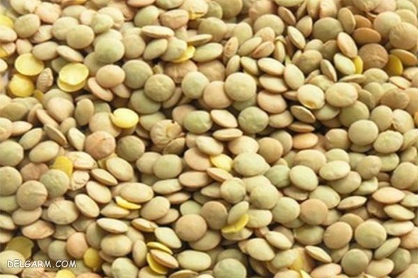 درمان گرفتگی عضلات در طب سنتی 