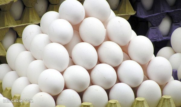 فرق بین تخم مرغ قهوه ای و تخم مرغ سفید