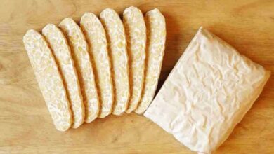 بررسی تفاوت و شباهت های بین توفو و تمپه (2 نکته مهم)