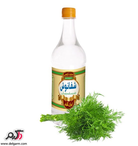 خواص عرق شوید (2 نکته مهم)